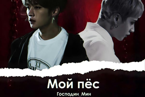 Мой пёс