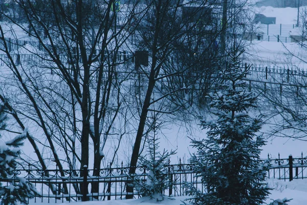 голубые пустыни