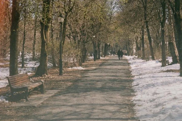 Генрих Седьмой и законы притяжения
