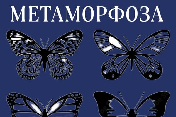 МЕТАМОРФОЗА