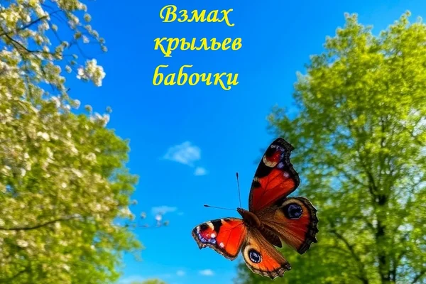 Взмах крыльев бабочки