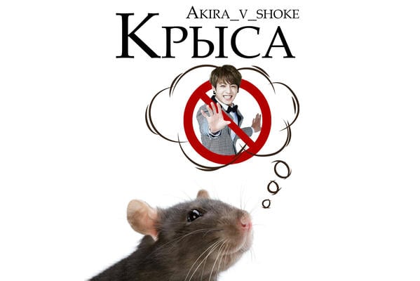 Крыса