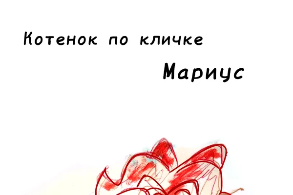 Котенок по кличке Мариус