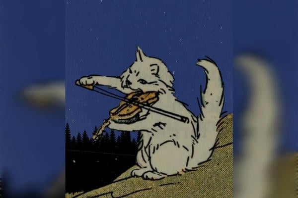 Карты, скрипка, два кота