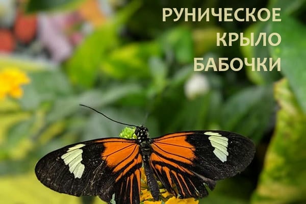 Руническое крыло бабочки