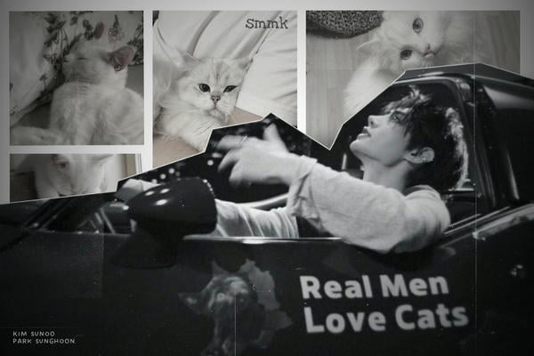 real men love cats.