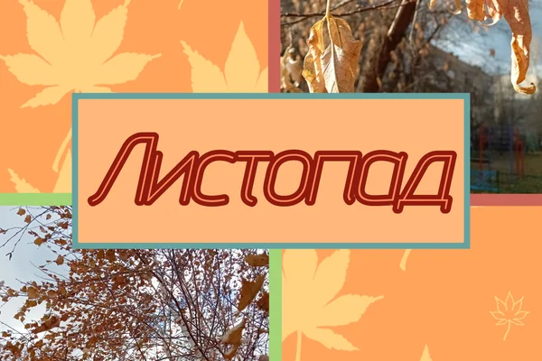 Листопад