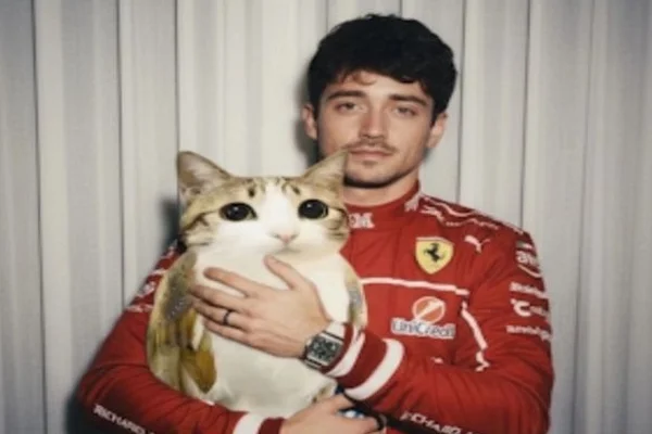 Кот в мешке