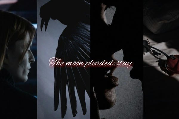 The moon pleaded: stay
