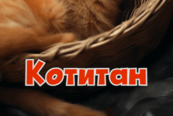 Котитан