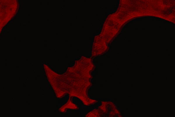 Dark abyss