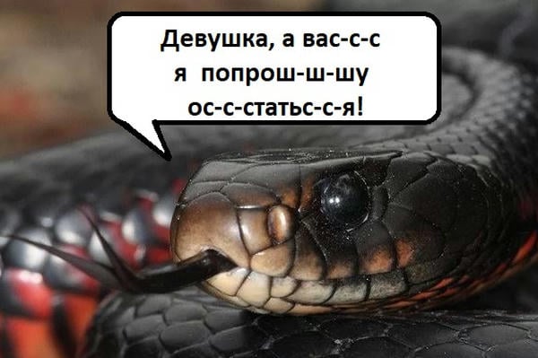 Змий и невеста.