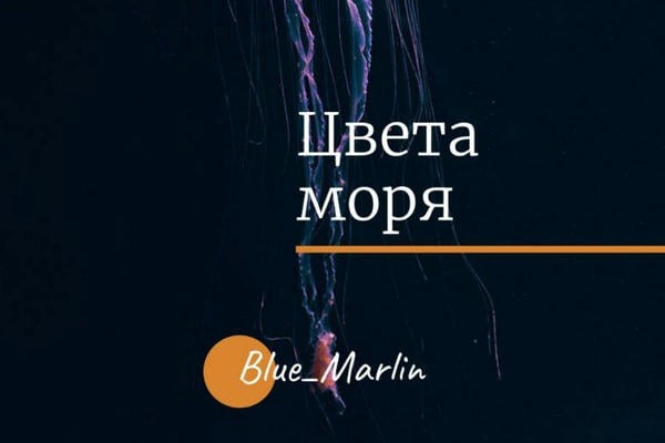 Цвета моря