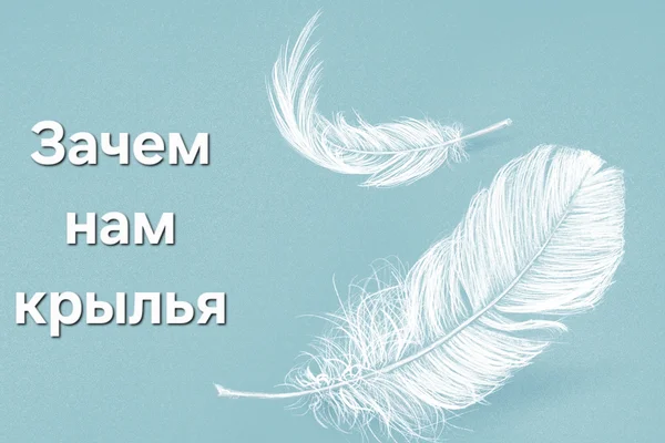 Зачем нам крылья