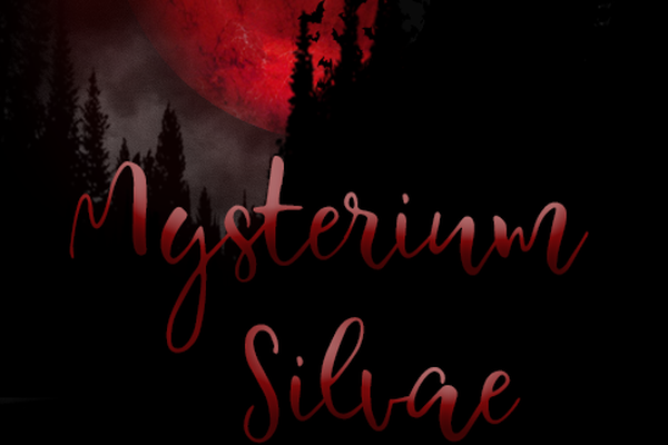 Mysterium Silvae 18+