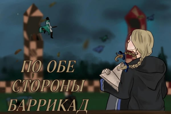 По обе стороны баррикад