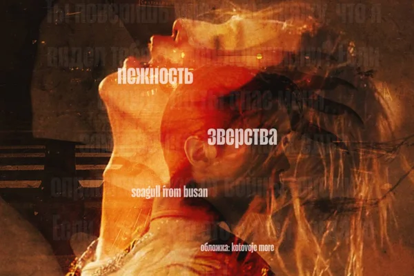 Нежность зверства