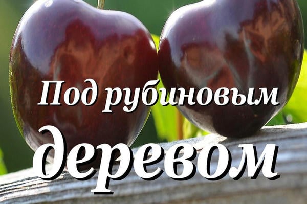 Под рубиновым деревом (Дочери Лалады)