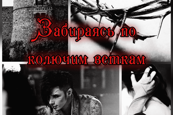 Забираясь по колючим веткам