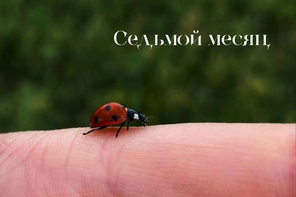 Седьмой месяц