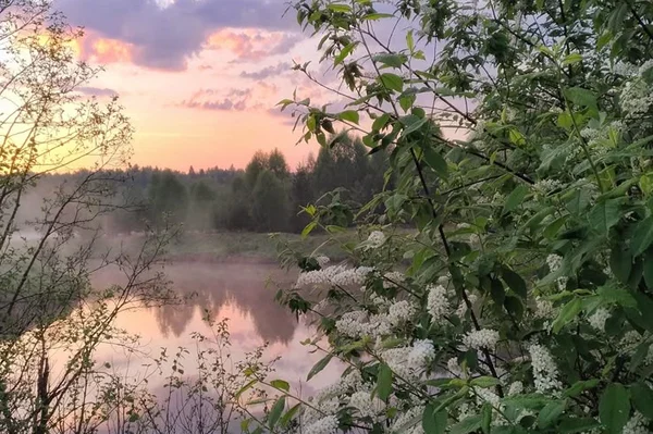 Десять минут на любовь