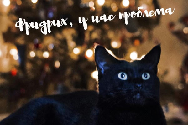 Фридрих, у нас проблема