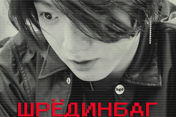 Шрёдинбаг