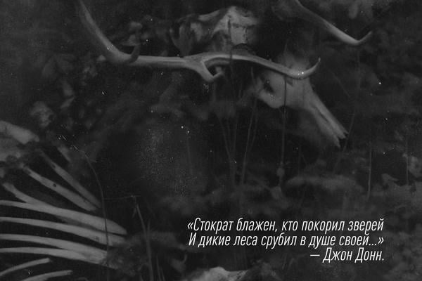 Мы изгнаны в леса, подальше от людей, как самоубийство...